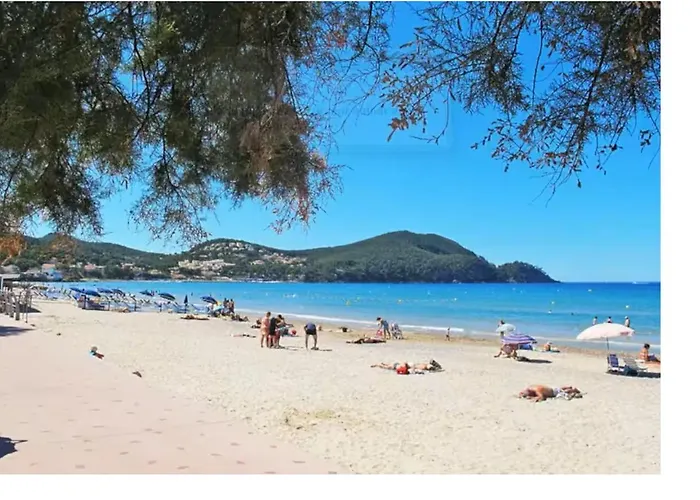 Apartment F2 Proche Les Lecques